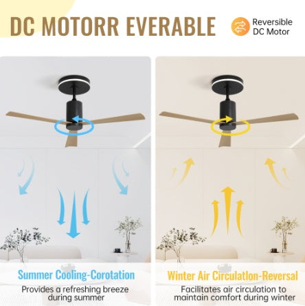 Plastic Ceiling Fans