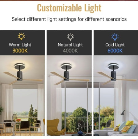 Plastic Ceiling Fans
